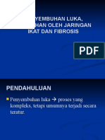 394051575-83626-5-Pemulihan-Jaringan