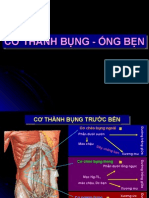 Co Thanh Bung - Ong Ben