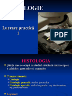 histologie-lp-1 (1)