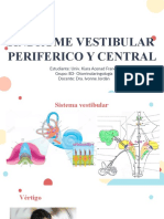 SD Vestibular Periferico y Central