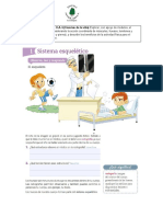 Guía de Ciencias Naturales 4TO BASICO EL SISTEMA ESQUELETICO