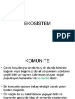 Ekosistem