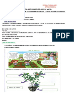 Mes de Mayo 2ºc Ciencias