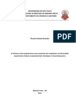 Dissertação - O Sistema Renina-Angiotensina Como Potencial Alvo Terapêutico Na Hidrocefalia Experimental - Ricardo Brandão