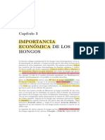 Importancia Hongos - Libro