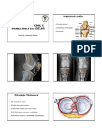 Anatomia Joelho