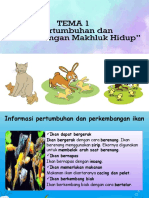 Informasi Tentang Pertumbuhan Dan Perkembangan Ayam, Kucing, Dan Ikan