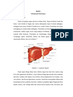 Referat Abses Hepar