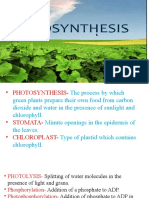 Photosynthesis Class 10