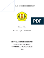 PORTOFOLIO SOSIOLOGI PEDESAAN (UAS)