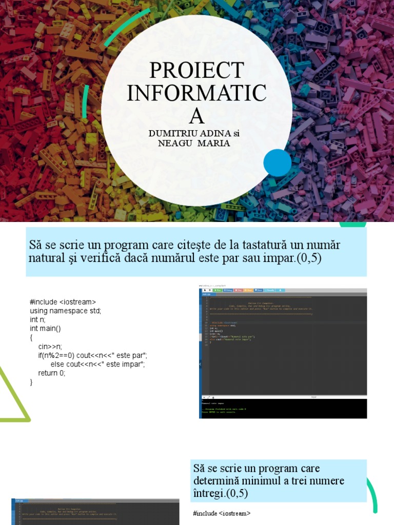 Proiect Informatica | PDF