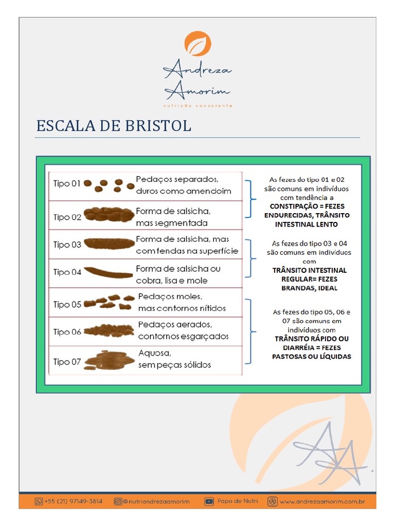 Escala de Bristol PDF