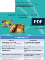 Ventajas y Desventajas de La Cartografia