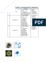 Analisis Data Pengamatan Kapang