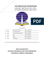 Tugas Praktikum 2 - Metamorfosis Lalat Buah