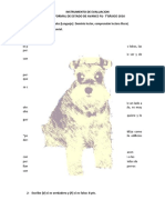 Prueba Fil 7°