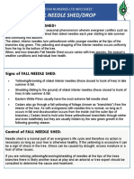 Info Sheet - Fall Needle Shed