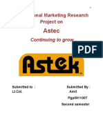 Astec: International Marketing Research Project On
