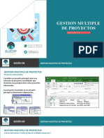 Gestion Multiple de Proyectos