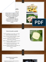 Historia y proceso del quesillo colombiano