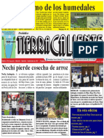 Periódico Tierra Caliente Edición 219