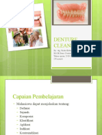 Denture Cleanser