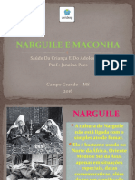 Narguile e Maconha