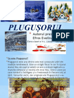 plugusorul