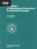 Atlas Metazoario