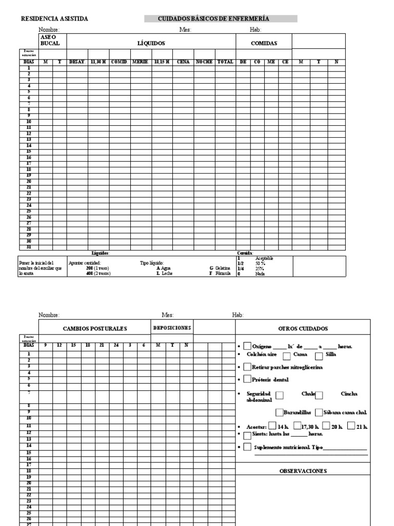 Hoja De Cuidados De Enfermeria En Residencias Geriatricas PDF