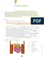 L de Act Digestion