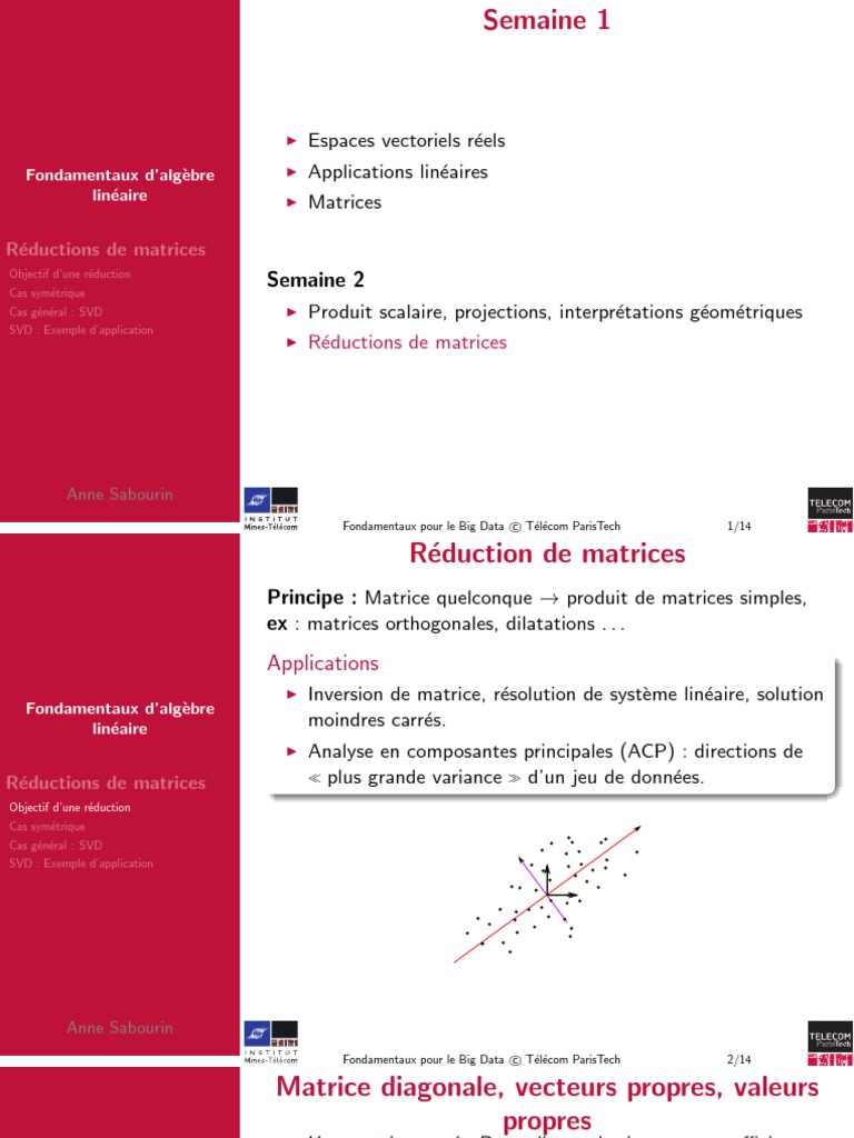 3 Réduction Des Matrices | PDF | Matrice (Mathématiques) | Base ...