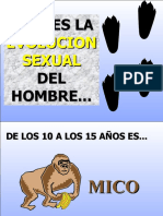 Evoluciondel Hombre