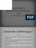 Anatomayfisiologamamaria 110213212823 Phpapp02