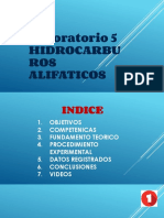 Alifaticos.pptx