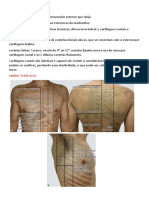 Tórax: estruturas, exame clínico e principais síndromes