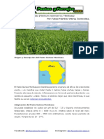 Ficha Técnica Del Pasto Guinea Mombasa (Panicum Maximum Cv. Mombasa)