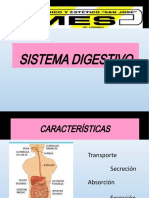 Sistema Digestivo