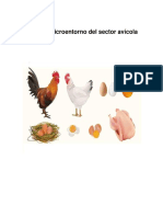 Macro y microentorno del sector avícola