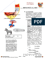 7 Taxonomia - para - 2do Secundaria (1) Ficha