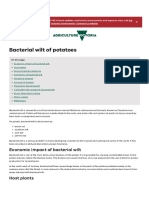 Bacterial Wilt of Potatoes - Vegetable Diseases - Plant Diseases - Biosecu005008