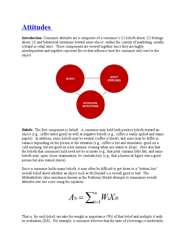 Understanding Consumer Attitudes in Marketing | PDF | Attitude ...