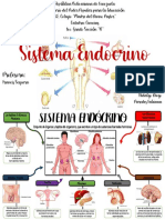 Mapa Sistema Endocrino
