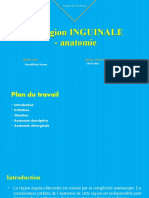 Région Inguinale