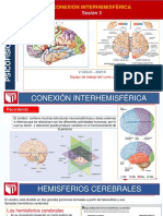 Sesión 3 Conexión Interhemisférica