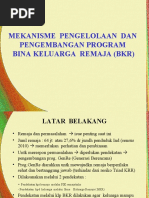 Mekanisme Pengelolaan Dan Pengembangan Program Bina Keluarga Remaja (BKR)