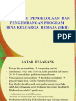 Mekanisme Pengelolaan Dan Pengembangan Program Bina Keluarga Remaja (BKR)