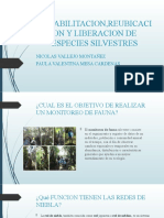 Rehabilitacion, Reubicacion y Liberacion de Especies Silvestres