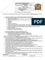 Tarea Enfermedades Grupo A