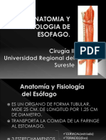 178706971-Anatomia-y-Fisiologia-de-Esofago